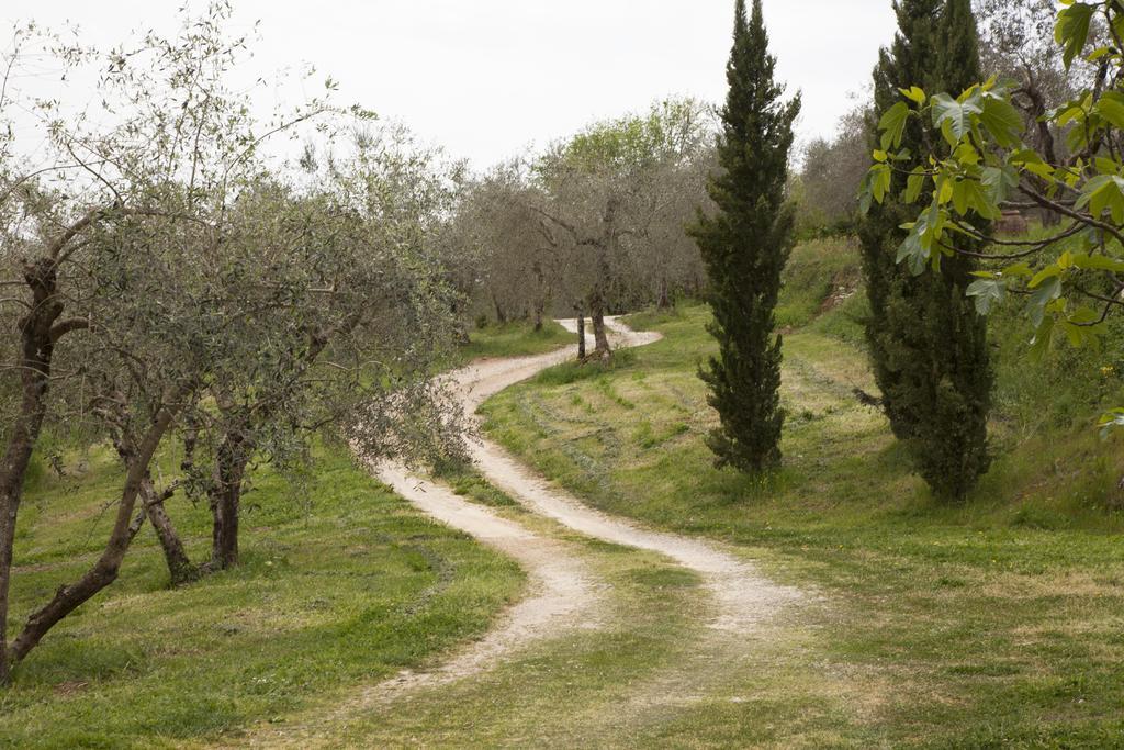 Agriturismo Borgo Personatina Sovicille Exterior foto